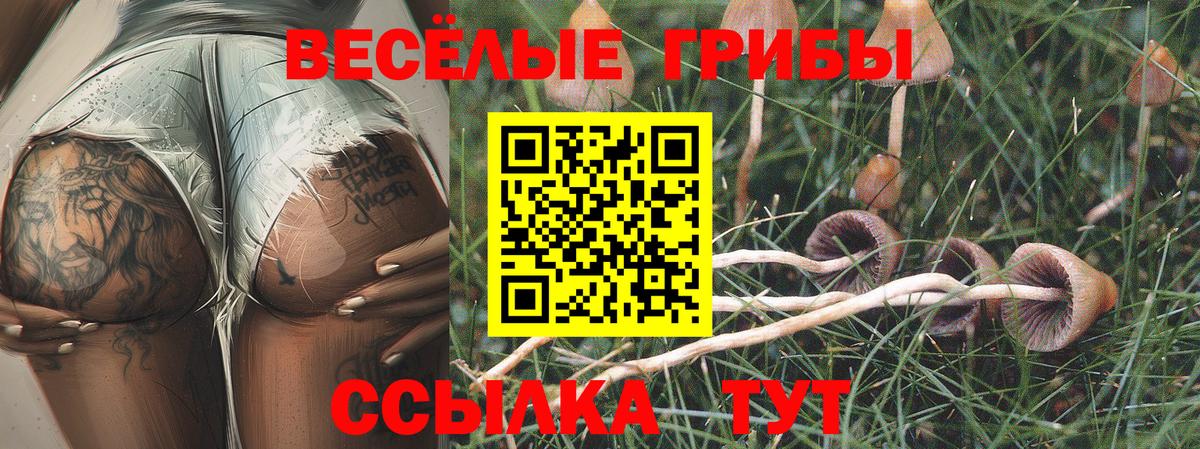 Прокопьевск  Галлюциногенные грибы мухоморы  Галлюциногенные грибы Magic Shrooms  Вход с VPN 